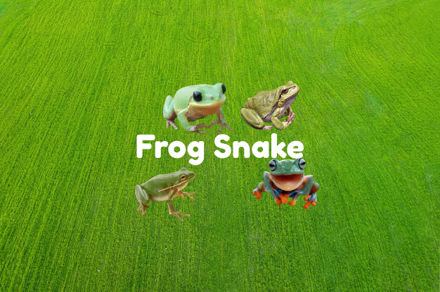 Frog Snake
